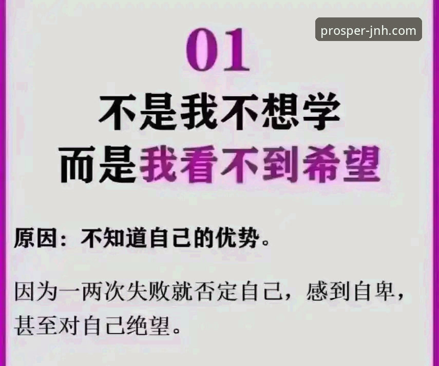 今年会JNH怎么样手机版 揭秘今年会体育平台手机版:移动体验背后的真相与未来趋势