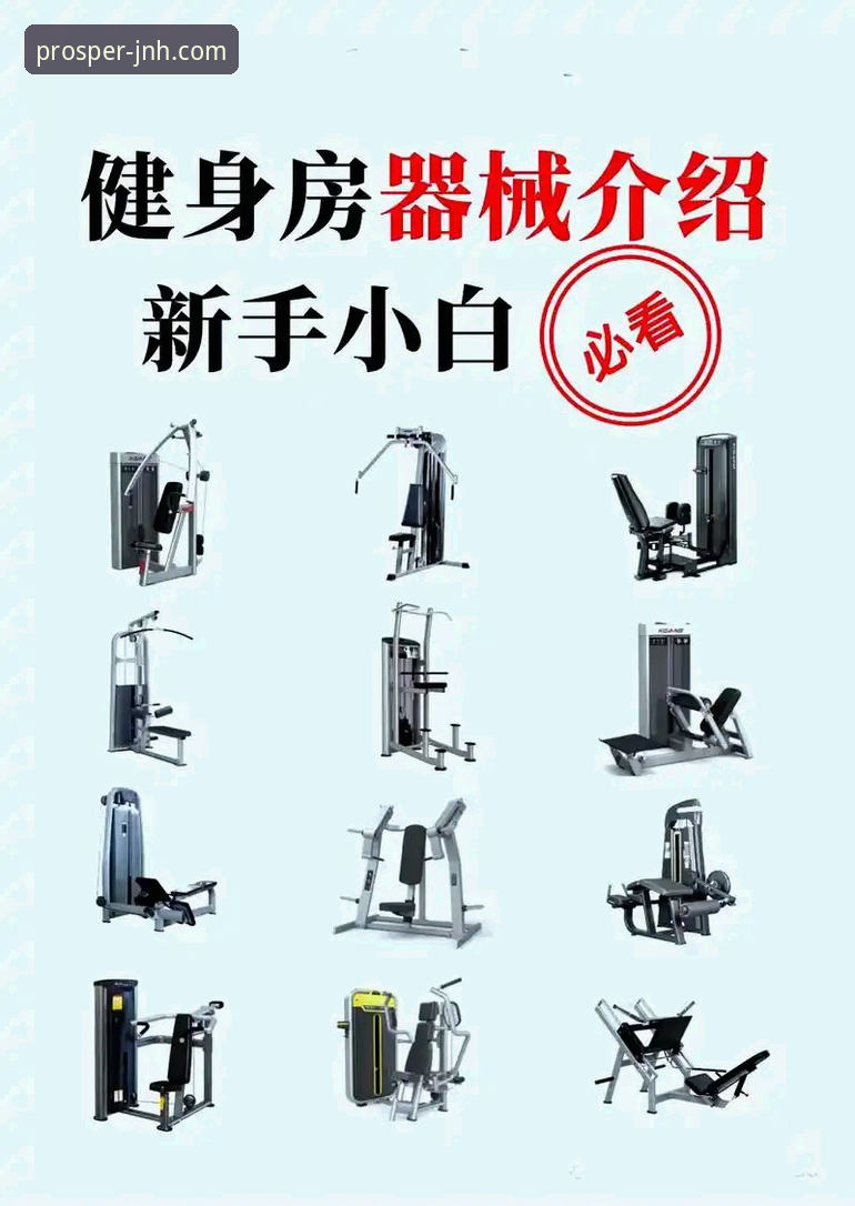 新手必看！今年会体育平台官网地址查找与使用实战经验